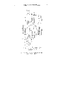 Рис. XIII, 13. <a href="/info/315032">Диаграмма состояния системы вода</a>—серный ангидрид.