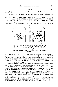 Рис. 101. Схема передвижения коллоидноп частицы при электрофорезе (а) и электроосмотического переноса жидкости через капилляр (о) (К — <a href="/info/142012">внутренняя поверхность</a> капилляра).