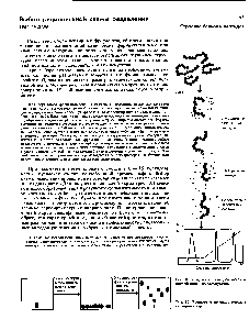 Рис. Ч. Разделение пептидов методом ионообменной хроматографии.