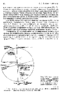 Рис. 3.14. <a href="/info/376711">Схематическое изображение</a> <a href="/info/502252">различий между</a> географическими, геомагнитными и <a href="/info/1221094">магнитными полюсами</a> и экваторами (M Elhinny, 1973).