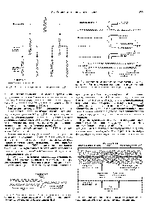 Рис. 31.1. <a href="/info/188030">Полуконсервативный механизм</a> репликации ДНК.