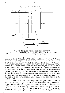 Рис. 6,9, Диаграмма орбитальных энергий для НР.
