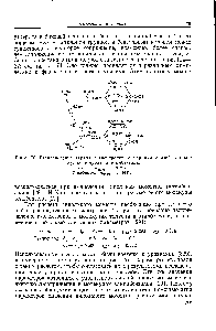 Рис. 76. <a href="/info/135879">Распределение заряда</a> я-электронов и <a href="/info/761235">порядки связей</a> в молекулах толуола и этилбензола.