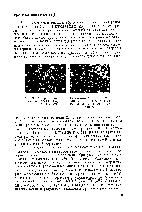 Рис. 58. Микрография органогенной кремнистой породы (X 360) [485].