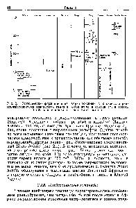 Рис. 2.7. <a href="/info/1384444">Геологические формации</a> и датировки основных плиоценовых п ран-неплейстоцеиовых ископаемых гоминид. Объяснения и ссылки см. в тексте. Г обозначает положение ископаемых гоминид