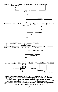 Рис. 36. Регуляция иэолейцином своего биосинтеза по механизму <a href="/info/50865">отрицательной обратной связи</a> (а), гпиколитического пути отрицательными и положительными эффекторами (б), амфиболического фермента, изоцитратдегидрогеназы, по типу <a href="/info/591438">анаболических ферментов</a> (глутаматом) и <a href="/info/591440">катаболических ферментов</a> ADP (в) и <a href="/info/879547">разветвленного пути</a> по <a href="/info/1588046">механизму раздельного</a> ингибирования изоферментов (альдолаз) ка>кдым из конечных продуктов (г)
