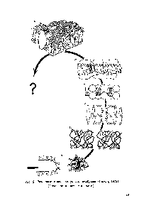 Рис. 9. Различные модели структуры мембраны (Р1пеап, 1972). (Пояснения к рисунку в тексте.)