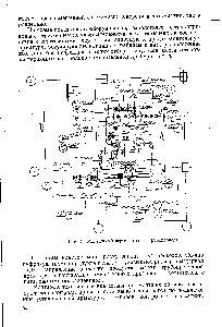 Рис. 31. Монтажный чертёж (план) трубопровода
