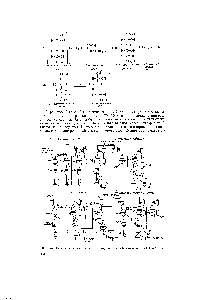 Рис. 24. <a href="/info/1518592">Технологическая схема производства синтетического</a> пангамата кальция.