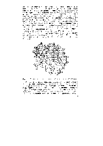 Рис. 1.1. <a href="/info/25894">Химическая модель</a> твердого пещества (по [5. Б. Алесковскому),