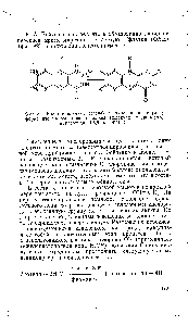 Фиг. 82. Восстановленная (слева) и окисленная (справа) формы изоаллоксазинового кольца молекулы флавинового нуклеотида (ФАД или ФМН).