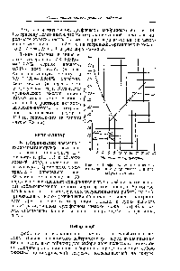 Рис. 14. График <a href="/info/6084">кондуктометрического титрования</a> гидролизата 1 н раствором аммиака.