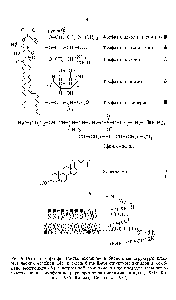 Рис. 9. Основные фосфолипиды, входящие в <a href="/info/1401735">бислойные структуры</a> плазматических мембран (А), и схема <a href="/info/1401735">бислойной структуры</a> липидов в мембране эритроцита (Б) с встроенной <a href="/info/31042">аминокислотной последовательностью</a> участка цепи гликофорина (Препаративная <a href="/info/1544961">биохимия липидов</a>, 1981 Кагава, 1985 Лишко, Шевченко, 1987).