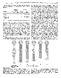 Таблица 8.12. <a href="/info/284800">Регуляция синтеза белков</a>-рецептора трансферрина и ферритина-при участии железа