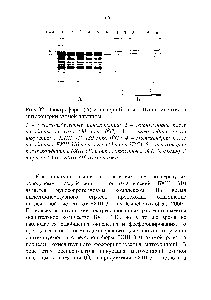 Рис. 32. Электрофорез (А) и <a href="/info/199911">вестерн-блоттинг</a> (Б) полипептидов митохондрий озимой пшеницы.