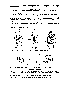 Рисунок 11 13 Сбалансированные нагру ки, испытываемые одновинтовым компрессором