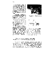 Рисунок 5,4.7 - Расположение катушек преобразователя для измерения тангенциальной составляющей вторич1Юго магнигаого поля <a href="/info/195528">вихревых токов</a> 1 - катушка возбуждения 2 - измерительная катушка 3 - компенсационная катушка