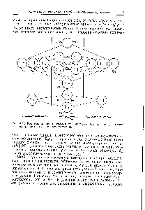 Рис. 4.11. <a href="/info/3052">Корреляционная диаграмма</a> для молекулы Ог, которая указывает на <a href="/info/671709">триплетность основного</a> состояния.