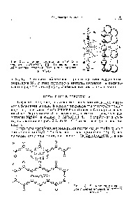 Рис. 2.7. Упаковка силикатной цепочки в жадеите КаА1(810з)2 [5]. Показаны ионы АР+ (малые шары) и Na+ (шары среднего размера).