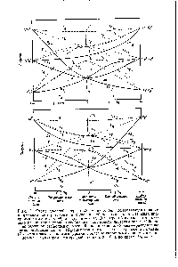 Рис. 2. Схема уровней энергии и -ионов, показывающая наличие корреляции между слабым и сильным <a href="/info/1594852">кубическими полями</a>. Нижняя диаграмма относится к а верхняя — к В центре обеих диаграмм показано расщепление уровней <a href="/info/300665">свободного иона</a> <a href="/info/373288">кристаллическим полем</a>. С боков дано обменное расщепление уровней <a href="/info/373540">сильного поля</a>. Справа — расщепление октаэдрическими полями (Од-симметрия), слева — <a href="/info/1658788">тетраэдрическими полями</a> (Г -симметрия). Триплетные уровни показаны сплошными линиями, а синг-летные — пунктиром. На <a href="/info/128624">средней</a> линии 0д = 0, а по краям Вд = со.