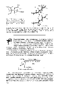 Рис. 12.9. Сходство конформации пенициллина (а) с конформацией дипептидного фрагмента 0-А1а—0-А1а (б).