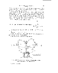 Рис. 433. Дигидрат 4,6-диметил-2-оксипиримидина. Конфигурация <a href="/info/984050">гетероциклической молекулы</a> и <a href="/info/1059734">схема водородных</a> связей.