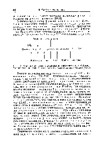 Рис. 2. Определение степени рацемизации синтетического Лзр -р-амида Уа15-ангиотензина II <a href="/info/18699">ферментативными методами</a> (Риникер и Швицер [1821])