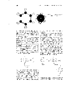 Рис. 186. <a href="/info/74803">Молекулярные модели</a> бензола.