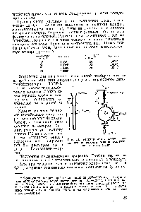 Рис. 10. Реактор для анализа полисилоксанов <a href="/info/39948">методом реакционной газовой</a> хроматографии.