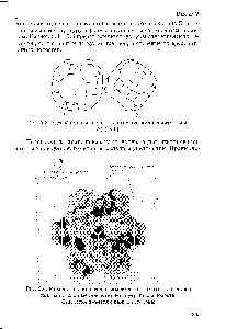 Рис. 5.6. <a href="/info/1435956">Модель типа</a> <a href="/info/15560">кристалла молекулярного</a> сита, на которой показаны <a href="/info/630352">входные отверстия</a> во <a href="/info/105584">внутреннюю полость</a>. Отверстие имеется с каждой стороны