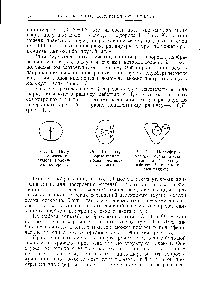 Рис. 11. <a href="/info/84485">Полусферическая модель</a> атома углерода (/-—<a href="/info/431491">радиус действия</a> Л—ковалентный радиус).