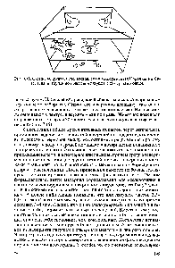 Рис. 7.15. Схема лабиринта, использованного в экспериментах Корочкина и Савельева по <a href="/info/1853549">изучению поведения</a> лягушек с химерным мозгом.