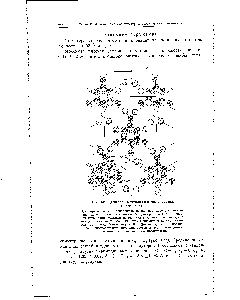 Рис. 434. Дигидрат 4,6-диметил-2-оксипиримидина. Проекция Ьс.