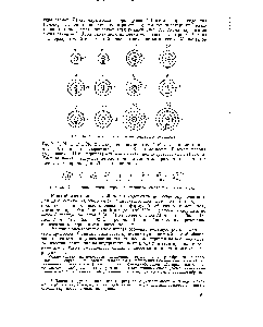 Рис. 34. <a href="/info/325342">Схема строения</a> атомов некоторых элементов.