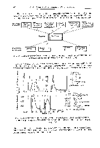 Рис. 2. <a href="/info/68922">Схема разделен</a> ия на группы смеси <a href="/info/159340">продуктов деления</a>, сорбированных на Н-катионите (по данным Томпкинса и др. [58])
