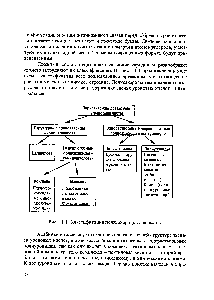 Рис. 11.1. Классификация полисахаридов древесины
