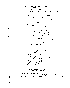Рис. 269. Резорцин, а-Форма, Проекция аЬ. Пунктирные линии — водородные связи.
