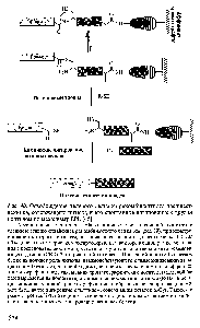 Рис. 40. Освобождение целевого белка из рекомбинантного предшественника, содержащего интеин, и его спонтанное лигирование с <a href="/info/1812204">другим пептидом</a> по механизму EPL [45 
