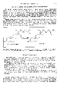 Рис. УП.18. Солнечный сиет необходим для <a href="/info/156188">образования витамина</a> О. Эта реакция - пример того, как даже небольнюе различие в молекулах приводит к существешю разным их функциям.