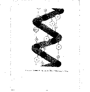 Рис. 24-2, Скрученная, или спиралевидная, <a href="/info/56986">форма молекулы</a> белка.