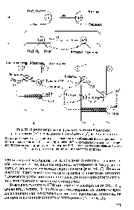 Рис. 91. Функционирование фумаратредуктазной системы в растворимом (А) и связанном с мембраной (Б, В, Г) состоянии.