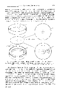 Рис. 10. Прибор для радиальной (круговой) хроматографии на бумаге 