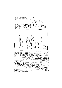 Рис. 181. Типичные профили хроматографической алюции аминокислот, окрашенных нингидрином, <a href="/info/737216">после разделения</a> в аминокислотном анализаторе
