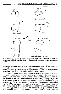 Рис. 9.27. <a href="/info/1298">Структурные формулы</a> оазличных <a href="/info/178358">производных аденина</a> с активностью, характерной для цитокини. Звездочкой помечены природные цитокинины.