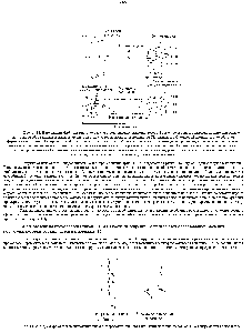 Рис. 14-35. Структура остатков гидроксипролина и гидроксилизина-<a href="/info/1696521">двух</a> измененных аминокислот, обычно содержащихся в коллагене.