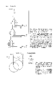Рис. 1У.43б. <a href="/info/24285">Принципиальная схема</a> двухступенчатой газохроматографической установки с двумя колонками [249].
