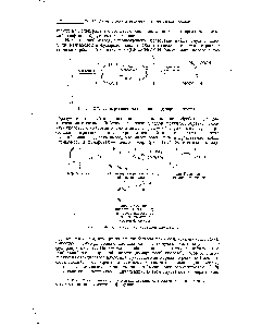 Рис. 12-8. <a href="/info/492223">Конфигурация коричной</a> кислоты [6].