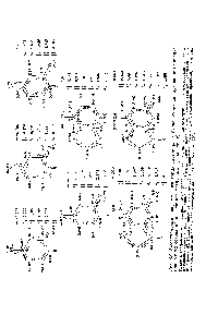 Рис. 3.4. <a href="/info/92300">Молекулярные диаграммы</a> некоторых таутомерных форм оснований нуклеиновых кислот (<a href="/info/102155">свободных оснований</a> и в составе различных производных).