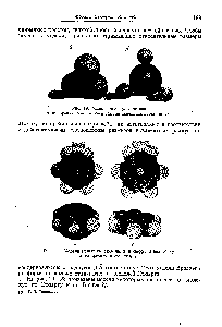 Рис. 20. <a href="/info/487238">Модели молекулы бензола</a>, вид сверху и вид сбоку 