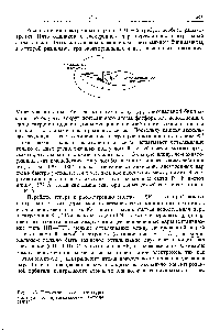 Рис. 11-3. Геометрические структуры молекул по <a href="/info/169138">предсказаниям метода</a> ОВЭП.